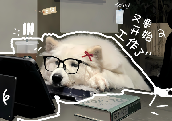关于我