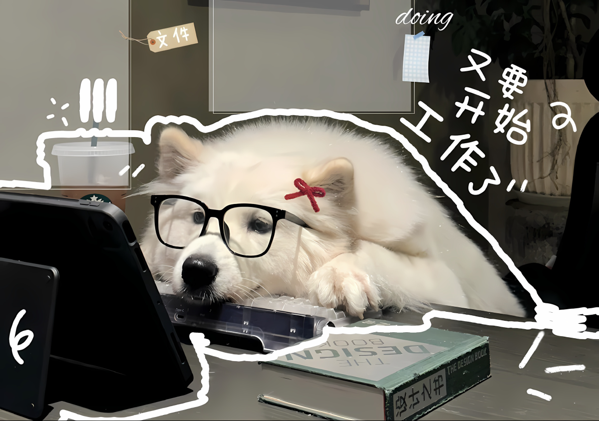 Featured image for 关于我